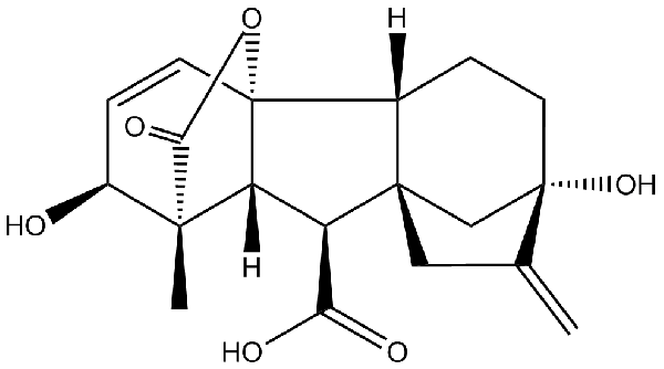 赤霉素GIBBERELLIC ACID，居然有這么神奇？